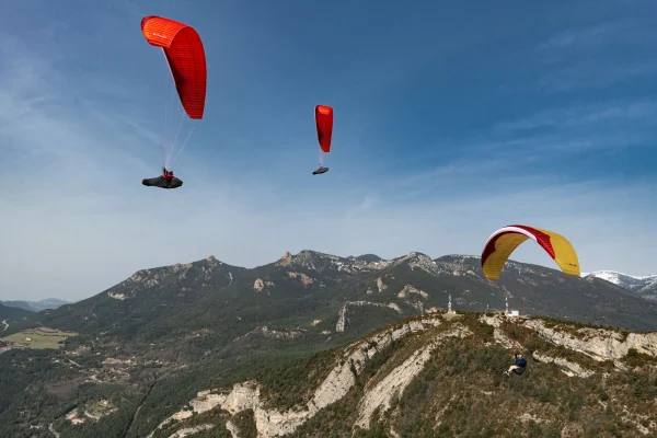 Gin Gliders Avid - Flugschule Pinzgau